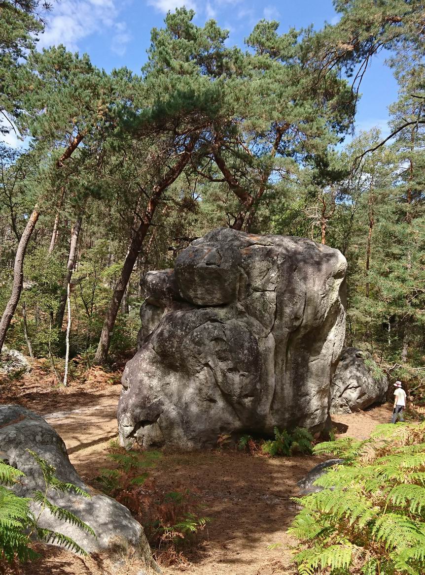 La merveille de Cuvier-Chatillon
