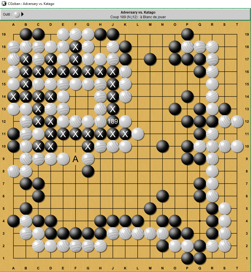 Bourde de Katago au coup 189