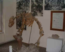 006.JPG (59454 octets)