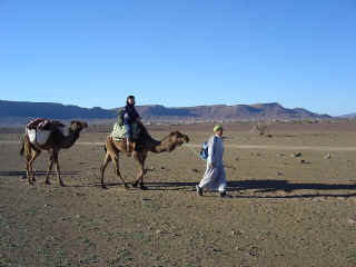 KeikoChameau.JPG (80826 octets)