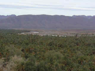 M04.JPG (56262 octets)