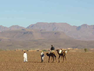 M06.JPG (49663 octets)