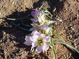 M07.JPG (157748 octets)