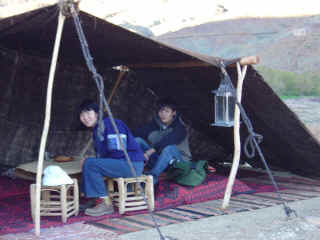 M08.JPG (61952 octets)