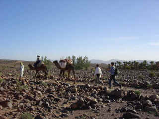 M12.JPG (83395 octets)