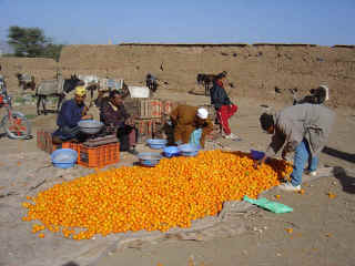 M17.JPG (99745 octets)