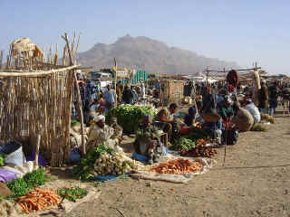 M18.JPG (115744 octets)