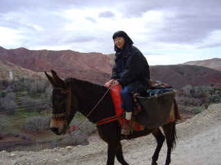 M24.JPG (62230 octets)